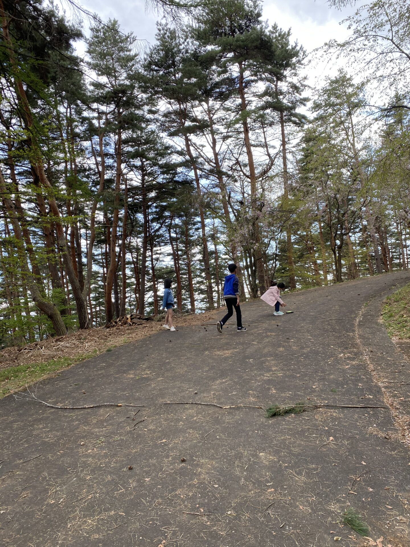 キャンプで子供が楽しめるおすすめの遊び道具5選